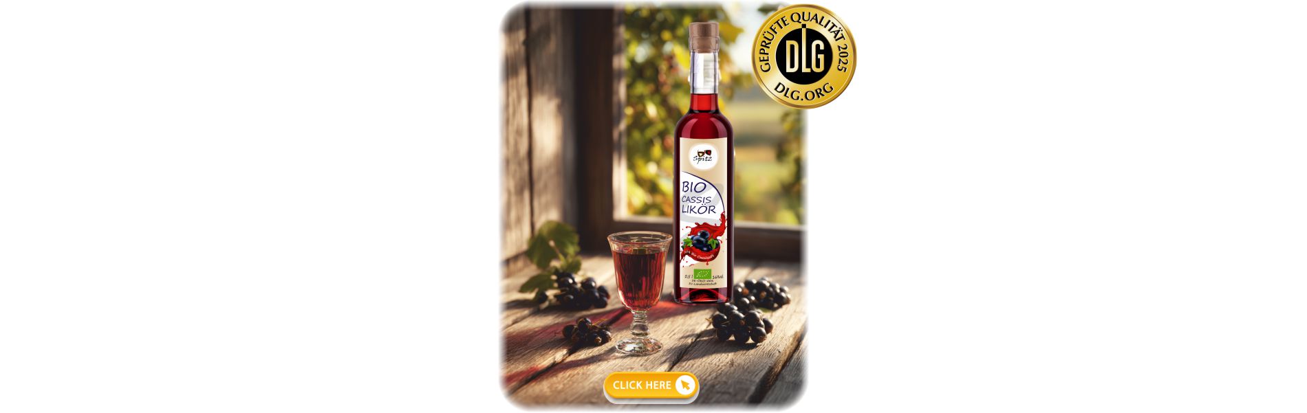 Cassis_Spitz gold 01