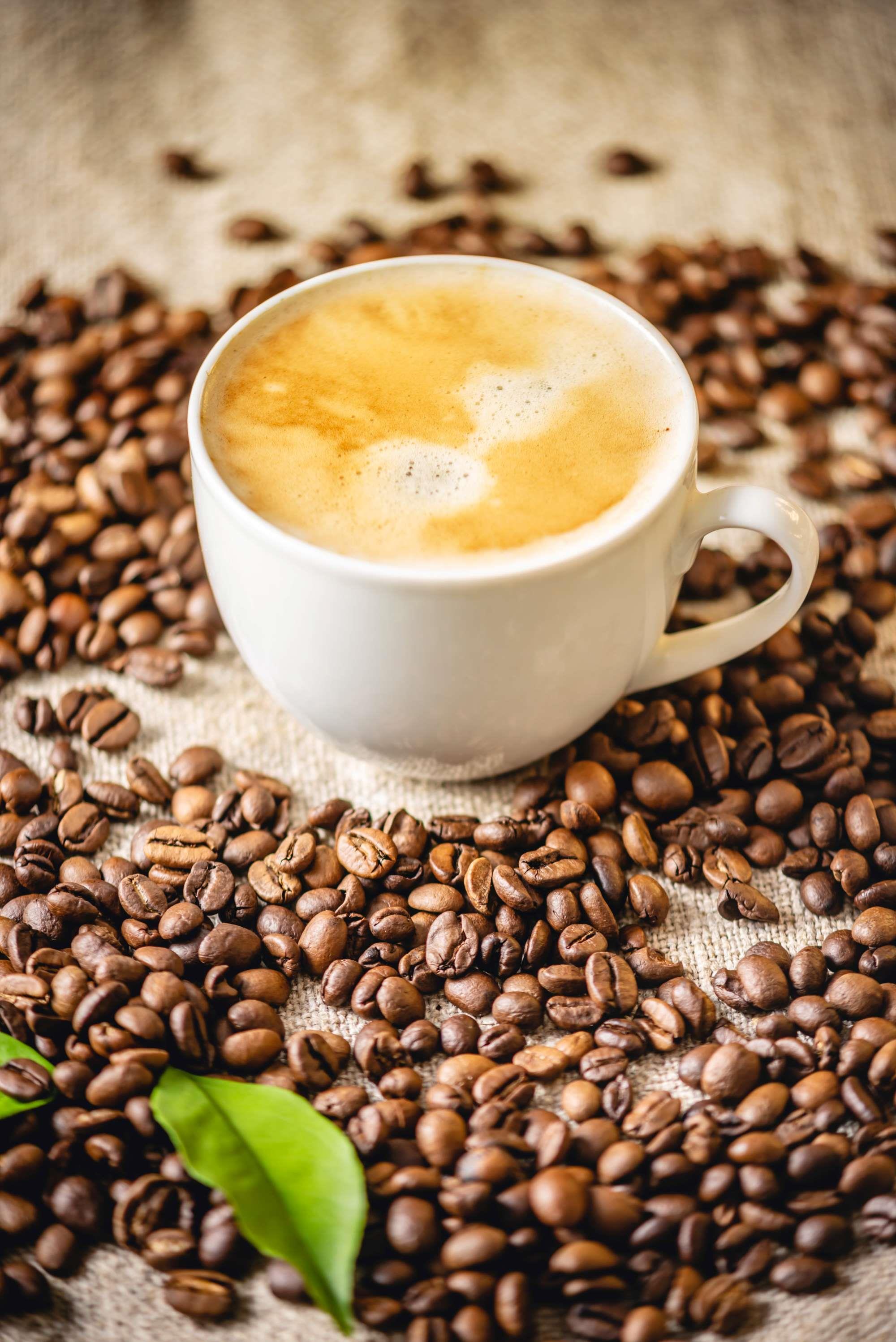 Bio Kaffee Likoer 0,5l, 18%vol