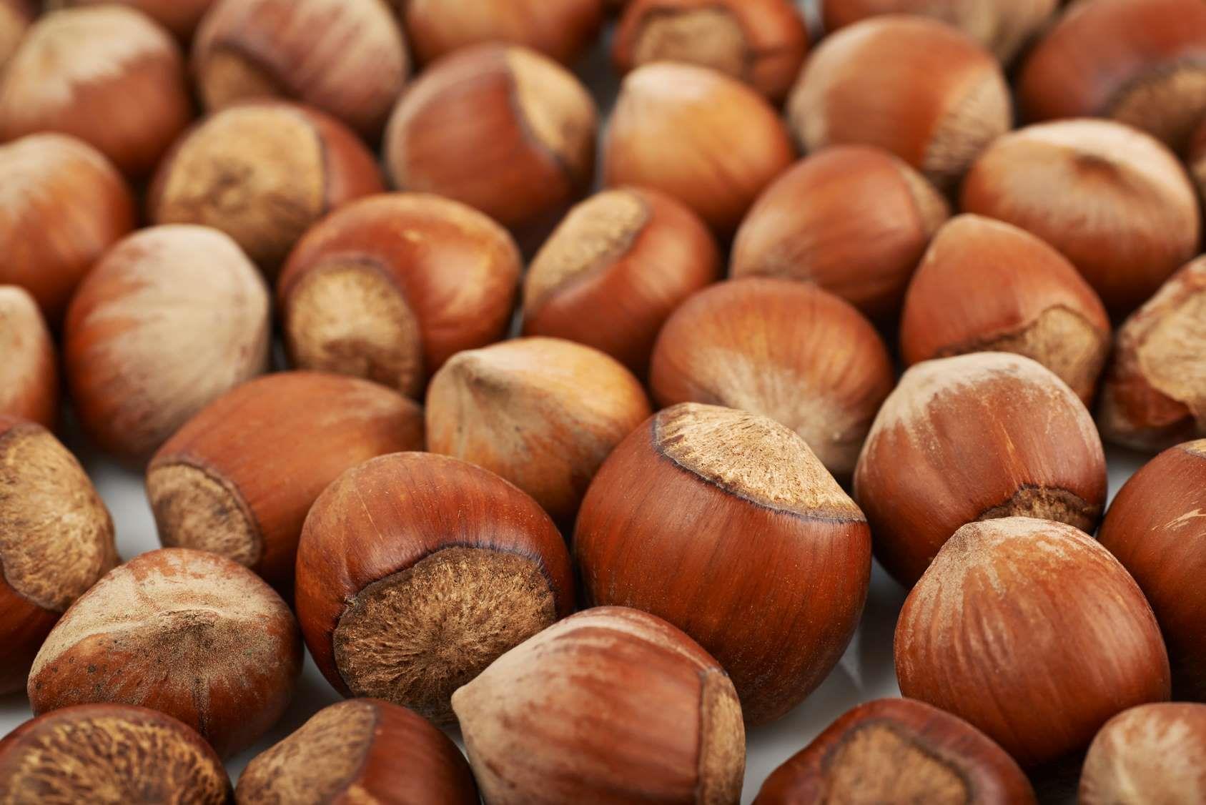 Haselnuss Spirituose 100ml, 32 vol% (Nicht Bio) Haselnuss Spirituose 100ml, 32 vol% (Nicht Bio)