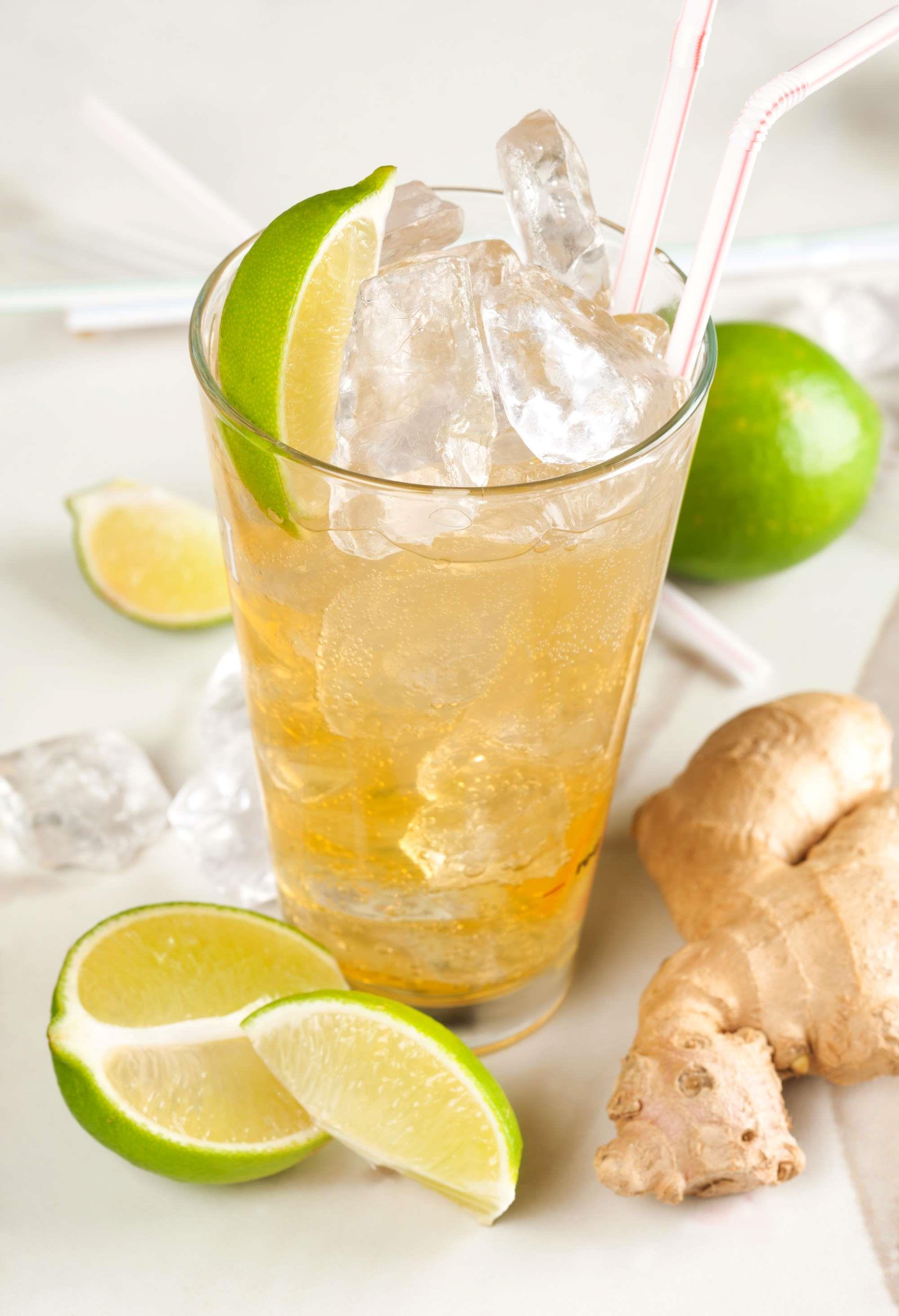 Ginger BIO Ingwer Likör 0.5 l, 20 vol% - naturtrüb- Ginger BIO Ingwer Likör 0.5 l, 20 vol% - naturtrüb-
